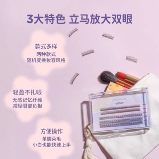 Hộp mi giả tách sợi Everbab