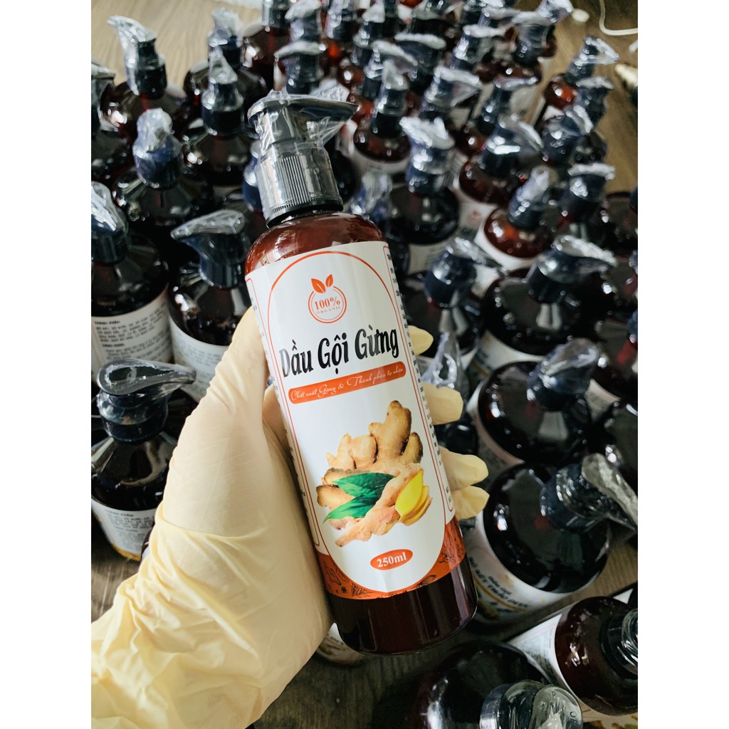 Dầu gội gừng tươi thảo mộc, Sạch Gàu giảm rụng tóc, sản phẩm Handmade, chai 500ml - Goss Việt | BigBuy360 - bigbuy360.vn