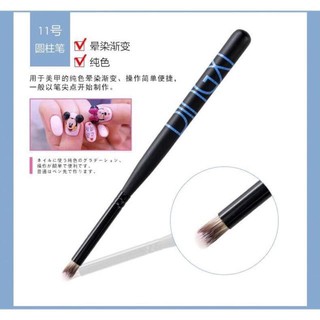 Cọ dạm omber dingxi nhật