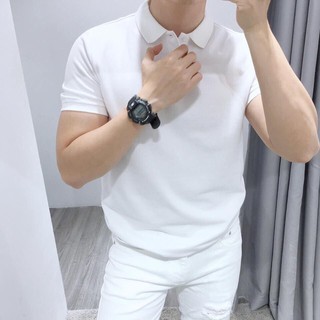 Áo thun nam trơn cổ bẻ ngắn tay, Áo phông nam công sở dáng ôm Hàn Quốc (Màu trắng)