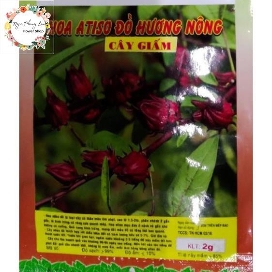 Giống Cây Giấm, Hoa Atiso Đỏ - Gói 2 Gram