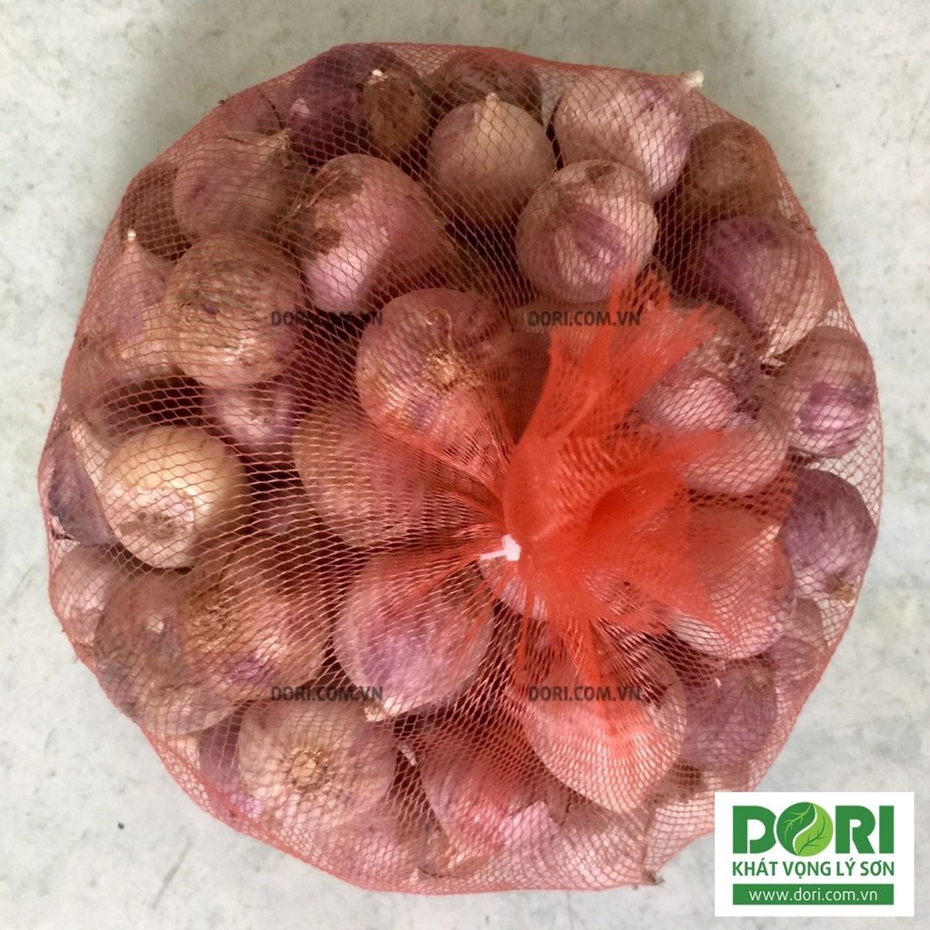 Tỏi cô đơn củ to - 1kg - Tỏi chuyên dùng làm tỏi đen