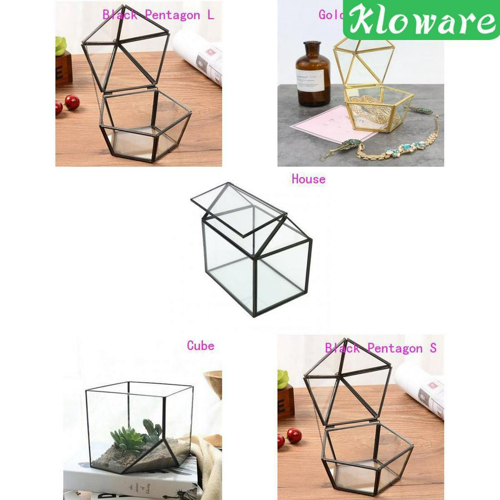 Chậu Trồng Cây Bằng Kính Thiết Kế Hình Học Độc Đáo