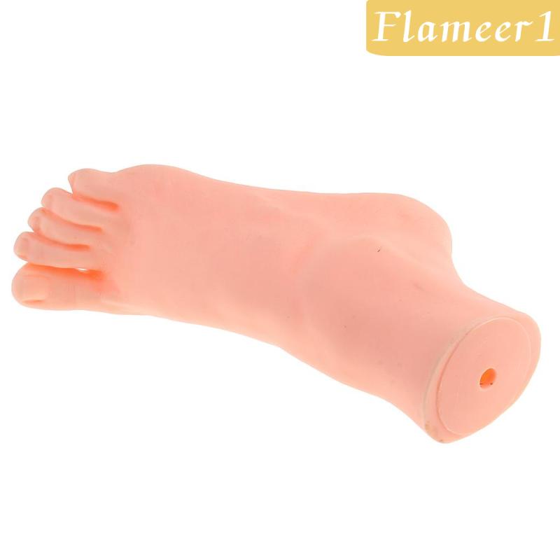 [Flameameer1] Chân Ma Nơ Canh Cao Su Trưng Bày Mô Hình Bàn Chân Phải Sống Động