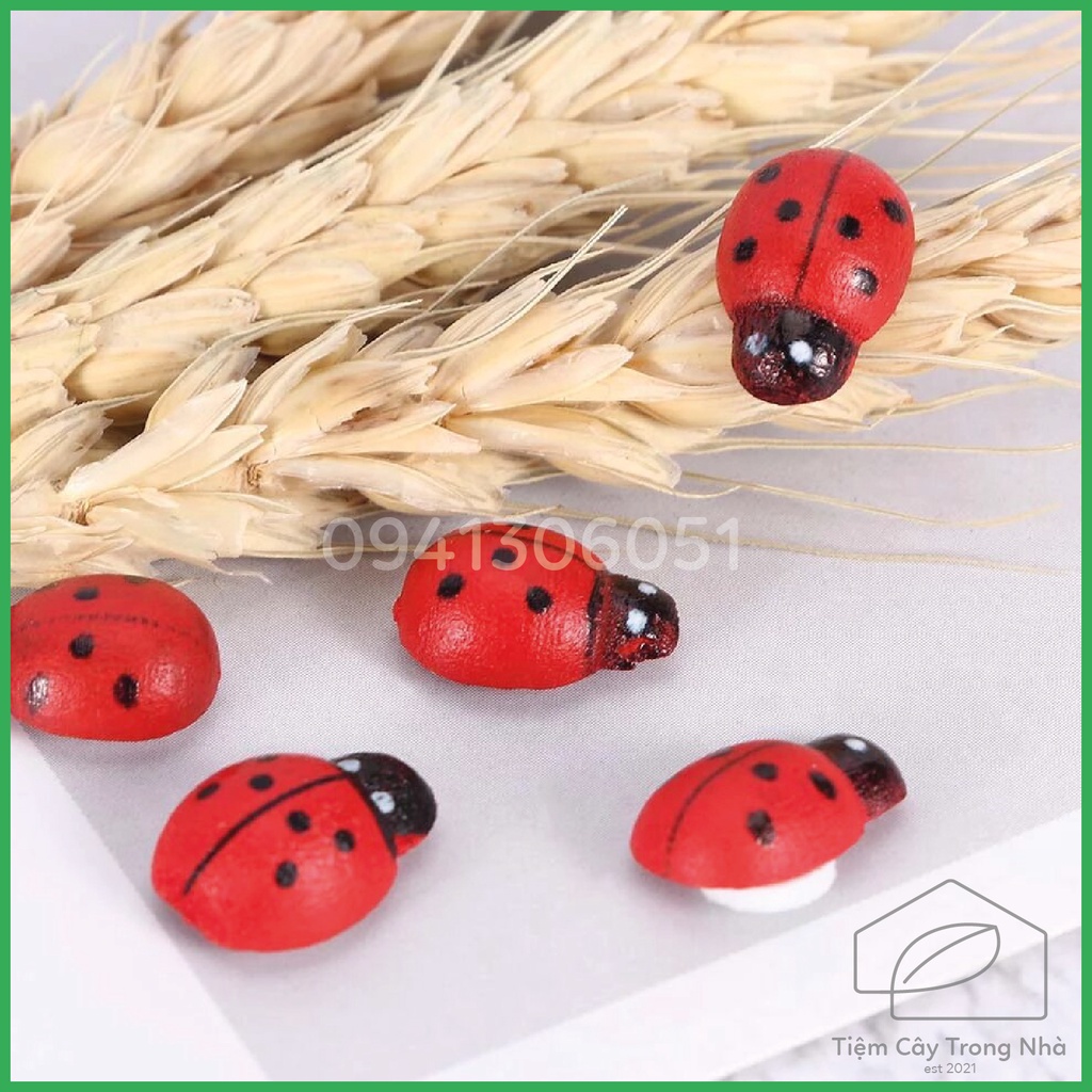 Bọ rùa gỗ mini trang trí cây tiểu cảnh