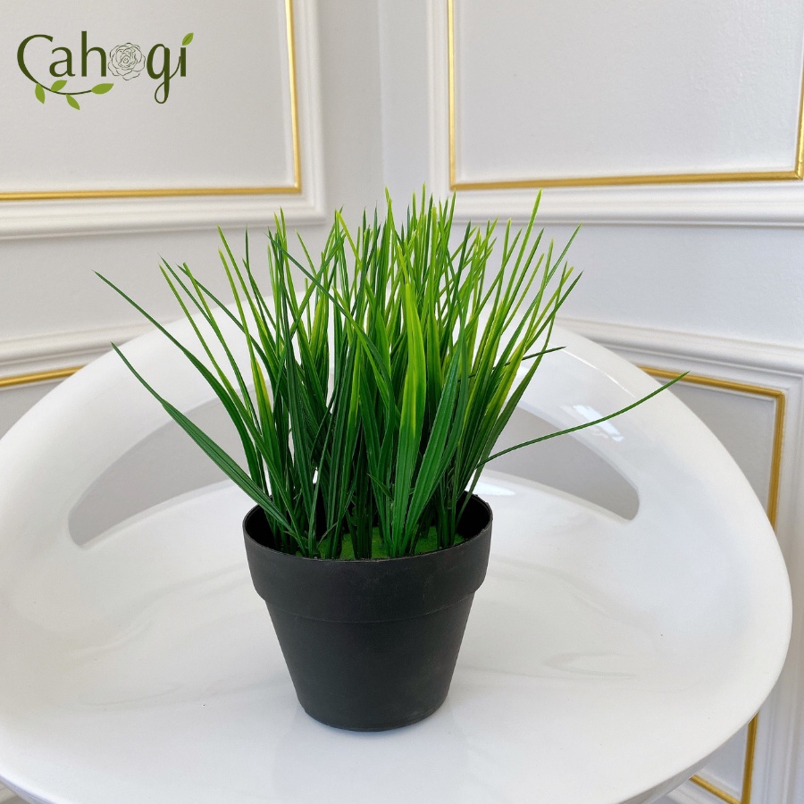 Cây Giả - Chậu Cây Lúa Non Để Bàn