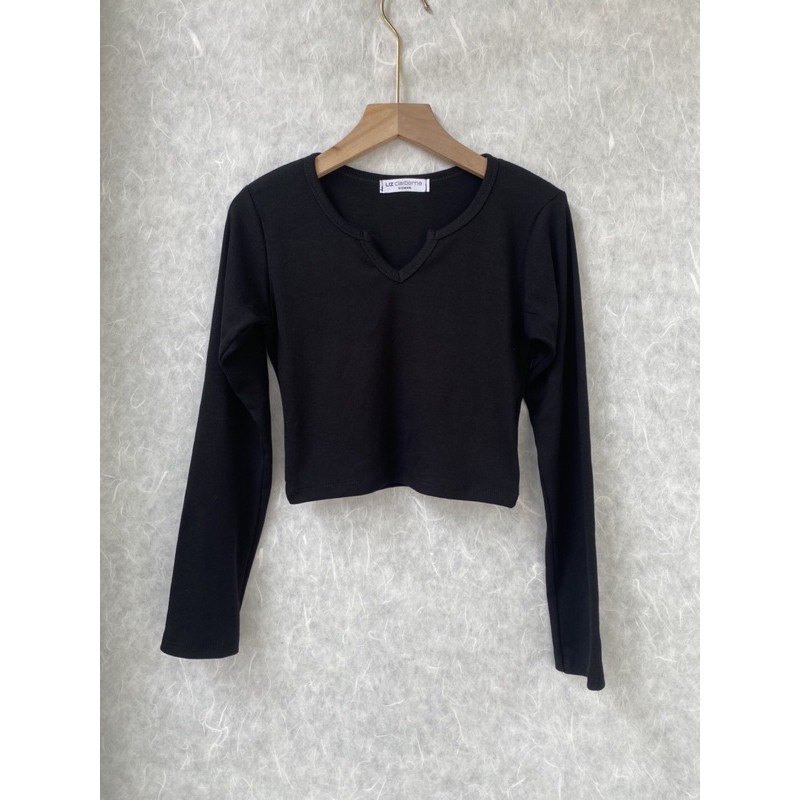 Áo Tay Dài Croptop body Cổ V (al)