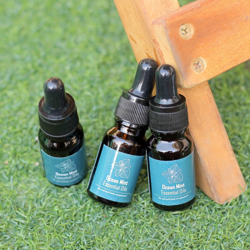 [CHÍNH HÃNG] Tinh dầu dưỡng tóc nam Ocean Mint Essential Oils 10ml chuyên dụng dành cho quý ông | Version 2 | BigBuy360 - bigbuy360.vn