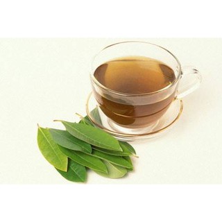 [Cây dược liệu] giống vối nếp - Trang Flowers