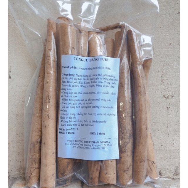 Củ Ngưu Bàng Tươi 1 Kg