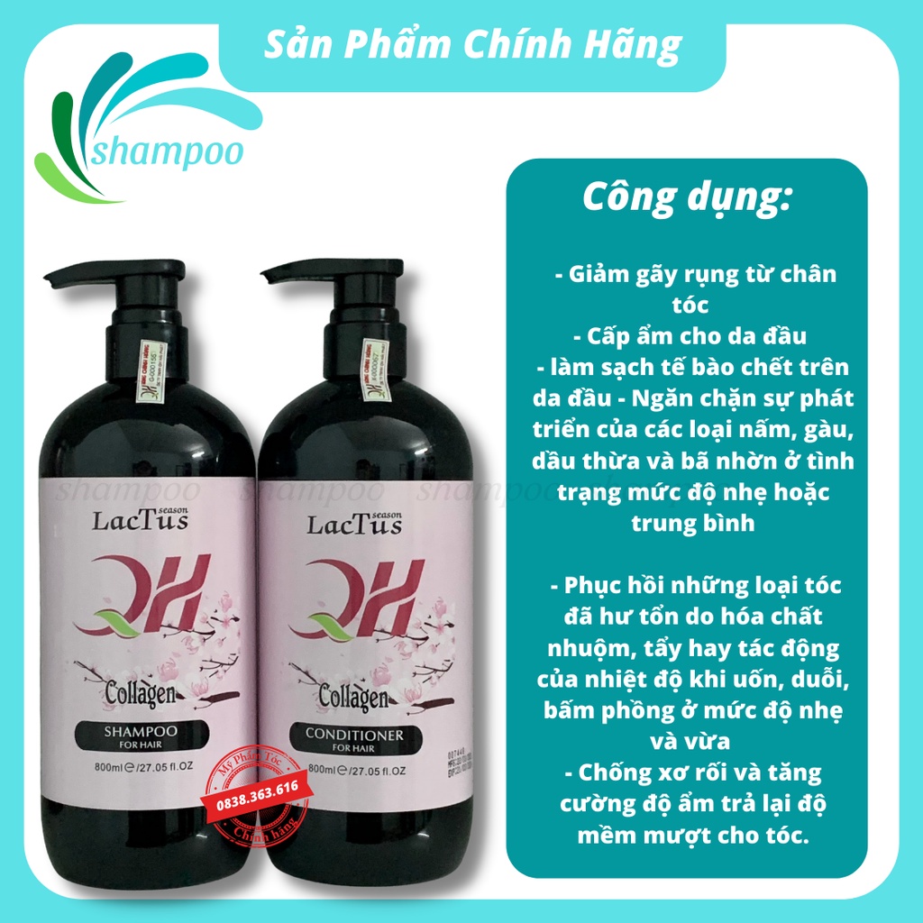 Dầu gội đầu ngăn rụng tóc QH Lactus season dầu gội da dầu, ngăn gàu 800ml