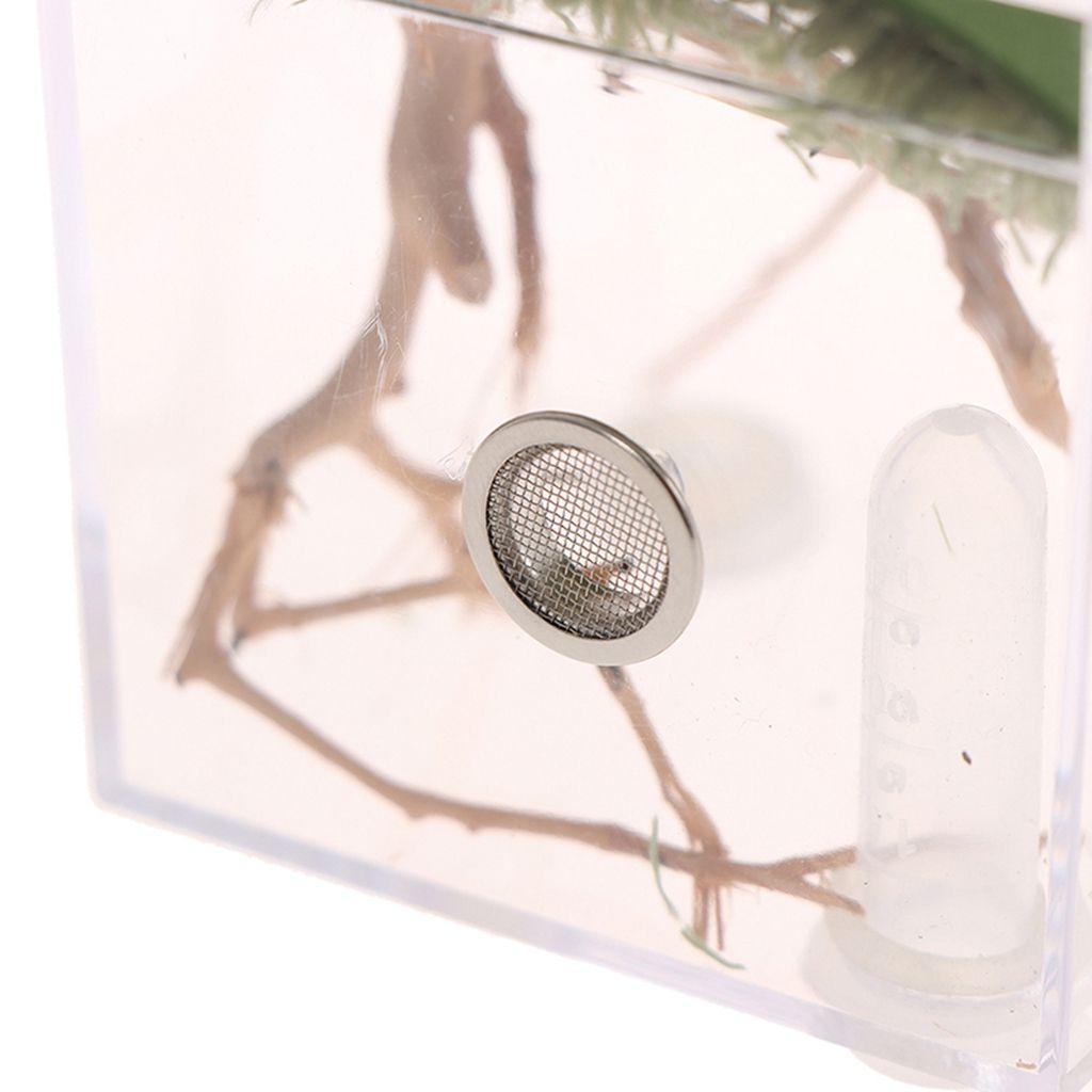 1 Bộ Hộp Sinh Thái Bằng Acrylic Thoáng Khí Cho Nuôi Kiến / Côn Trùng Mini