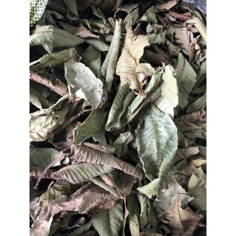 Lá ổi khô ngăn rụng tóc 100g | BigBuy360 - bigbuy360.vn