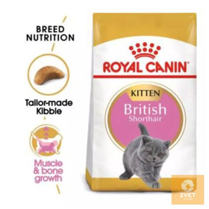 Đồ Ăn Hạt Khô Dành Cho Mèo Anh Lông Ngắn Royal Canin British Shorthair Kitten - Gói 400G – Hàng Nhập Khẩu