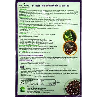 Hạt Giống Ngô Tím (Bắp Tím) 300 hạt