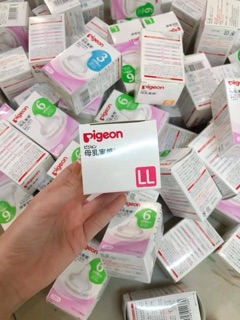 Núm ti pigeon nội địa nhật