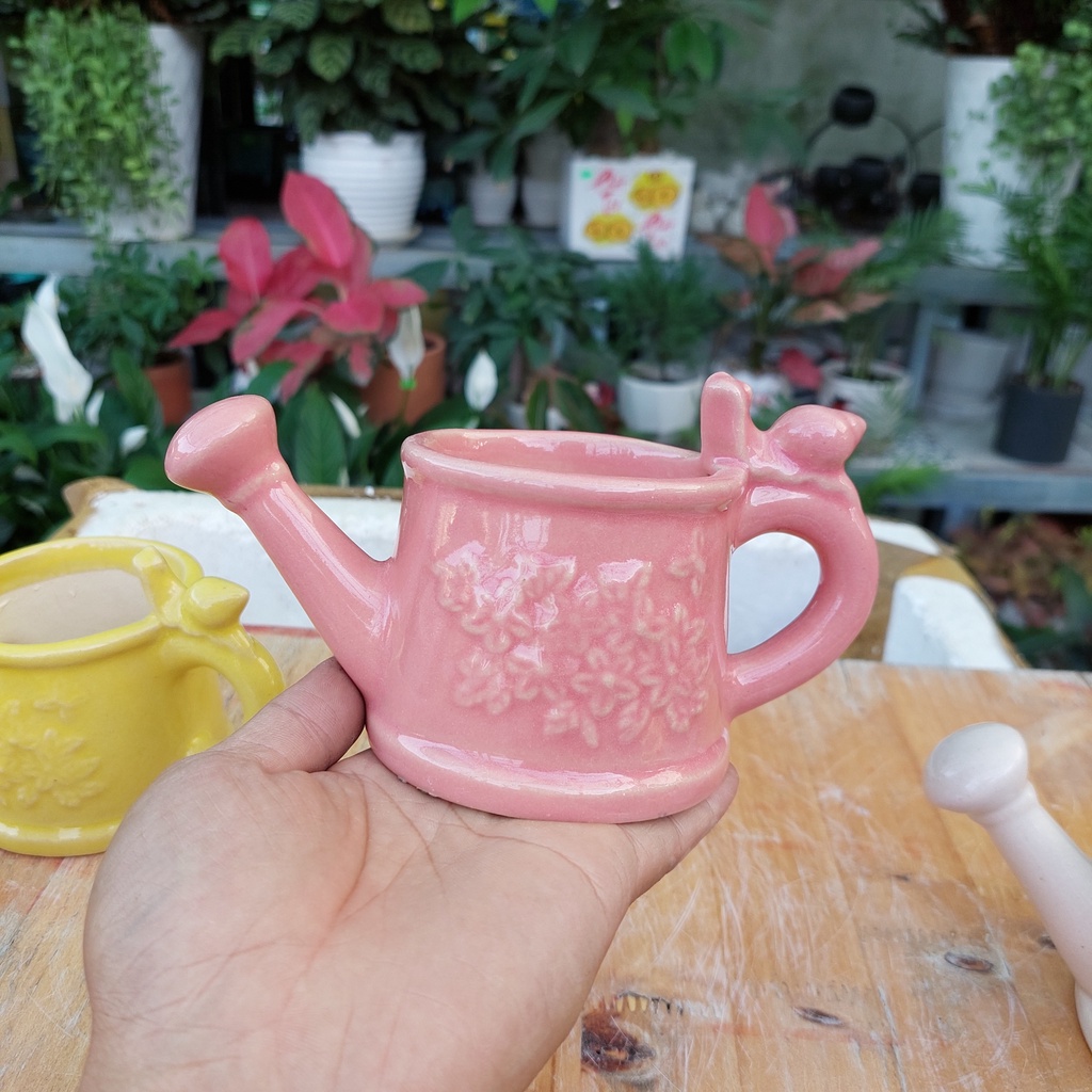 Chậu đất nung, Chậu sen đá - Bình tưới cây, miệng chậu 8cm, chiều cao 7cm