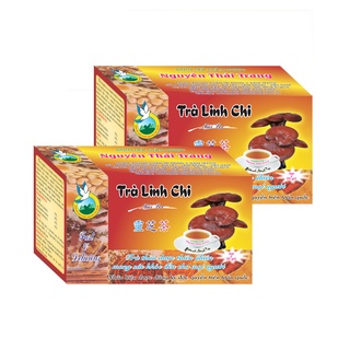 Combo 5 Hộp Trà Linh Chi Tăng Tuổi Thọ, Bồi Bổ Sức Khỏe (Hôp 20 Túi Lọc X 2g) - Nguyên Thái Trang–Thảo Dược Thiên Nhiên