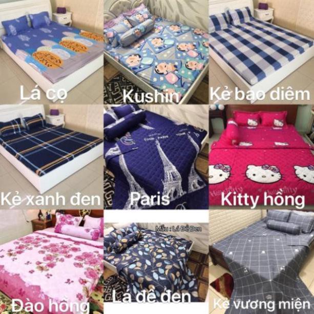 Bộ 1 Ga chun và 2 vỏ gối Cotton poly, chat chọn mẫu.