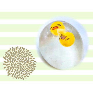 GUDETAMA SQUIShY trút giận trứng biến thái