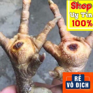 Miếng dán LẨU ĐẾ - KÉ CHẬU