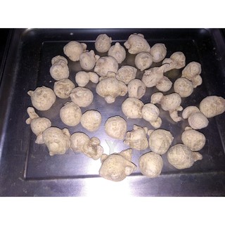 Tam Thất Nam 500 gam