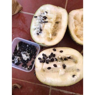 Hạt bí đen (chưa rang chín)