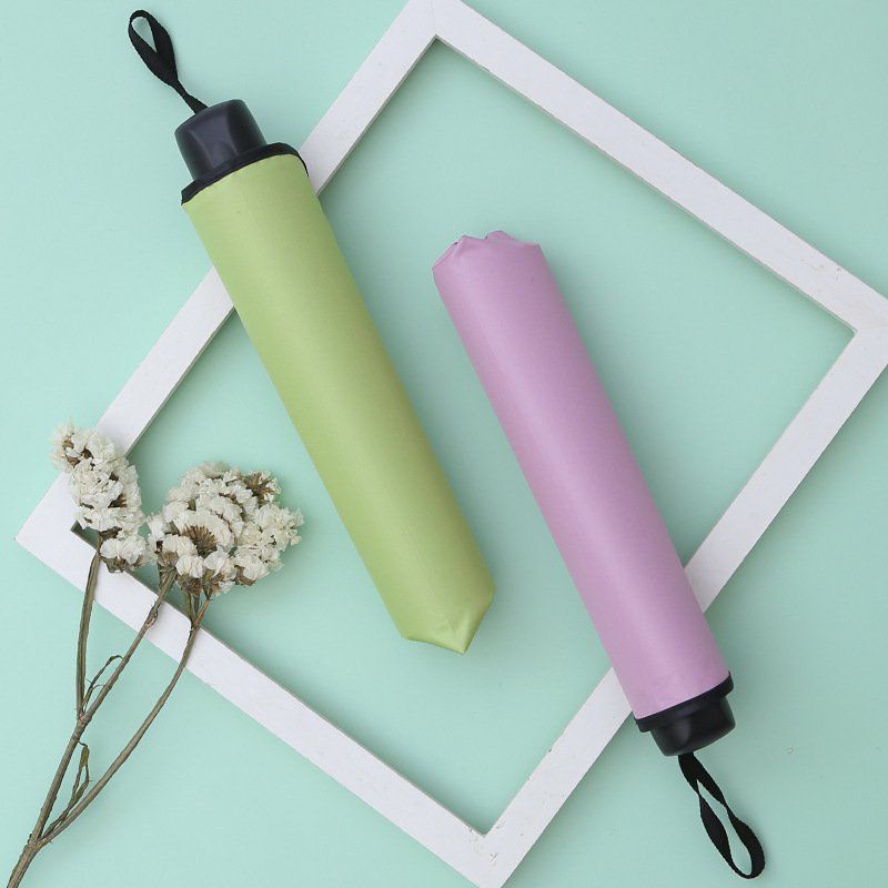 Ô dù nở hoa khi gặp nước, chống tia UV