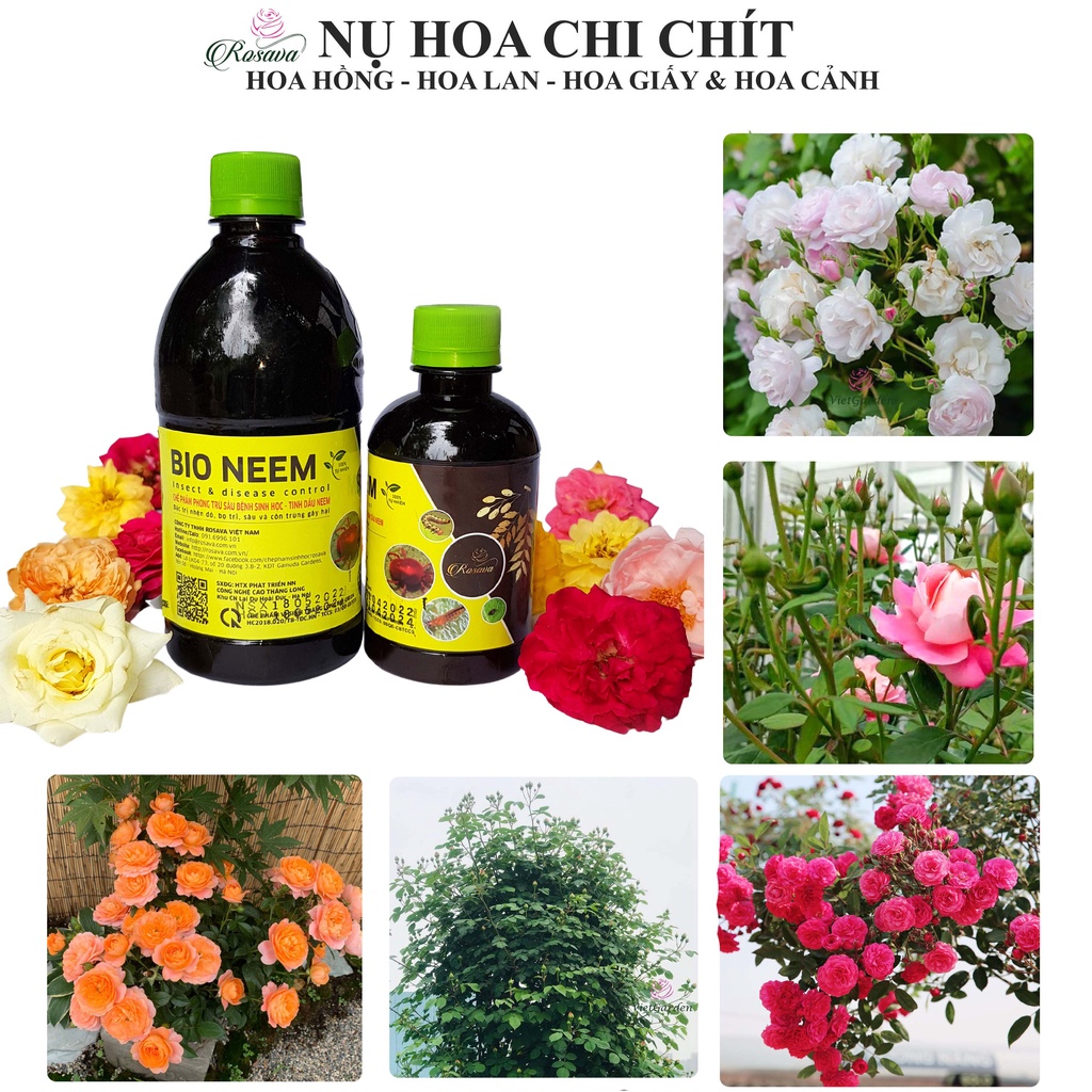 Tinh dầu neem oil hữu cơ Rosava bảo vệ cây trồng phòng ngừa côn trùng, bọ trĩ, nhện, rệp, bọ cánh cứng