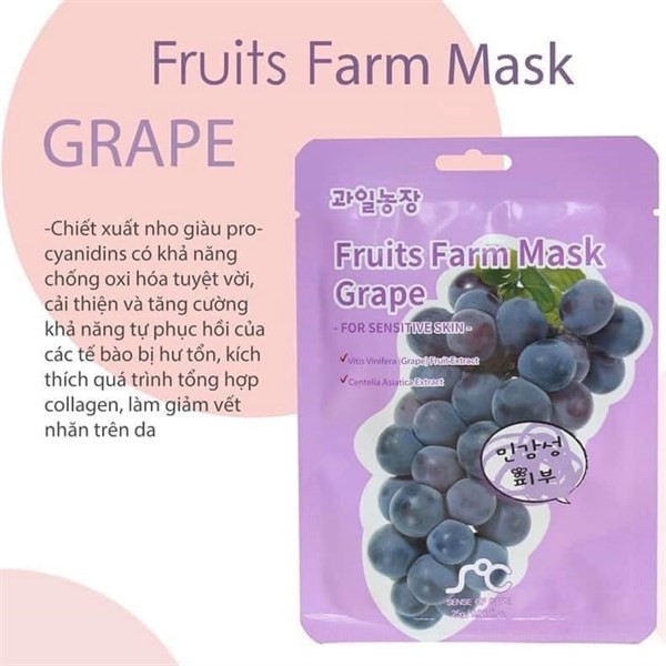 [Combo 5 nạ ngẫu nhiên] Mặt nạ hoa quả RAINBOW fruit farm mask pack