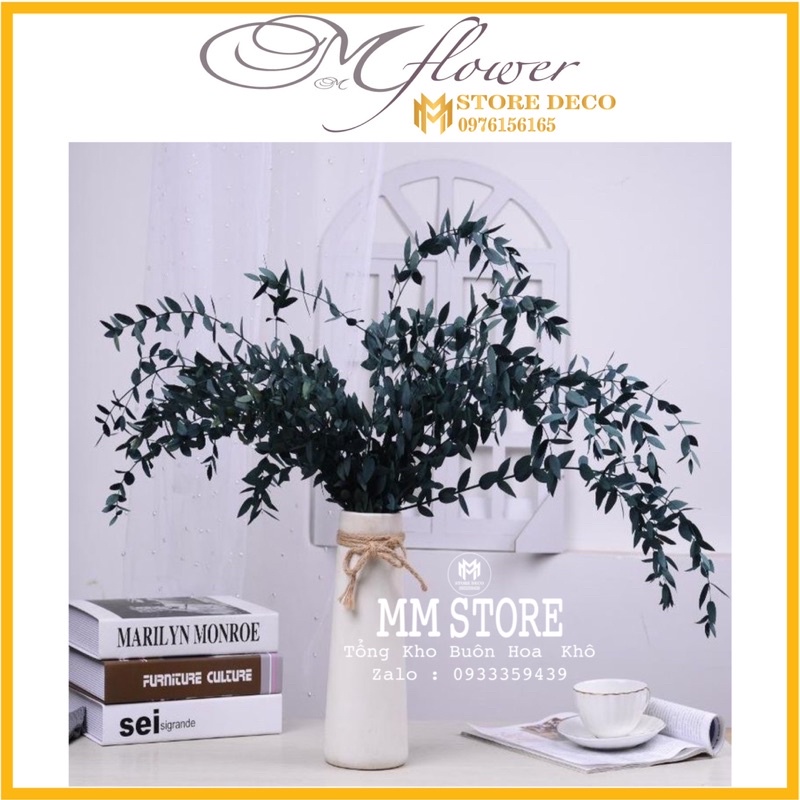 1 bó lá khô deco trang trí , lá khô hoa khô deco siêu đẹp