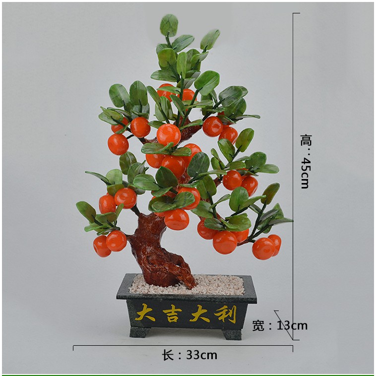 CÂY CAM ĐÁ PHONG THỦY