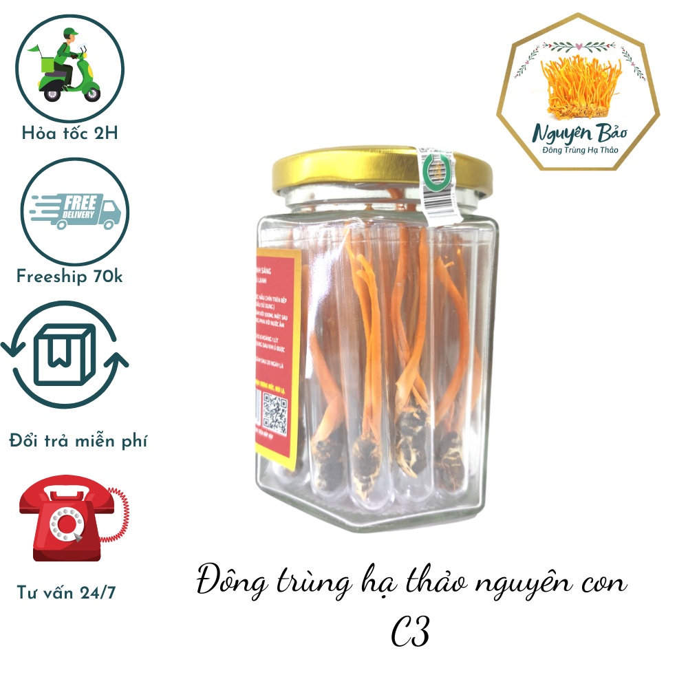 Đông Trùng Nguyên Con C3 Sấy Thăng Hoa - 10 con