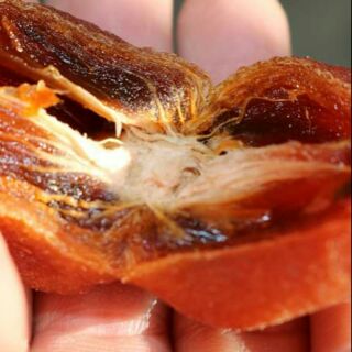 Hồng sấy công nghệ Nhật Bản