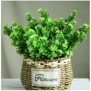 Cây nhựa Pvc - Cây hoa ngâu lẻ