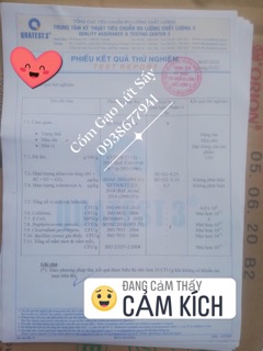 COMBO Gạo Lứt Sấy