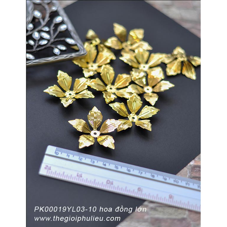 PK00019YL03-10 hoa đồng lớn.