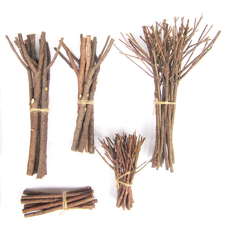 10 cành cây khô tự nhiên size từ 20-40cm