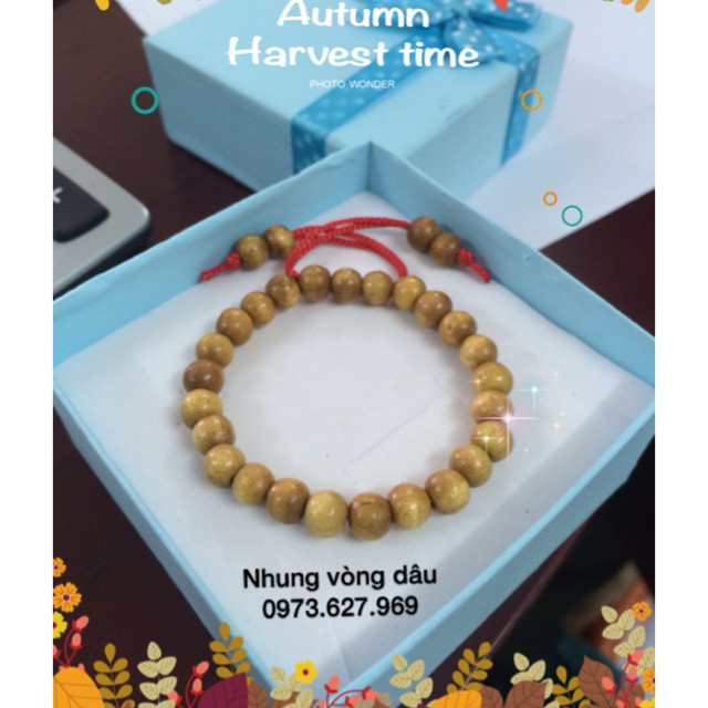 Vòng dâu trơn- RE VO DICH