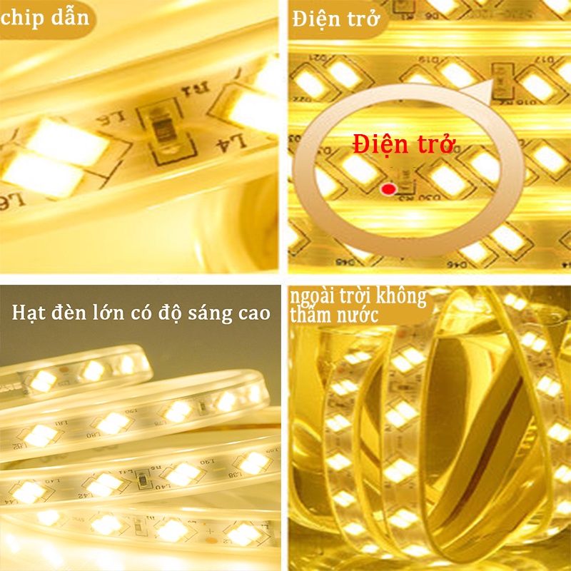 Đèn Led dây đôi 5730 siêu sáng 2 hàng HẮT TRẦN, QUẤN CÂY, TRANG TRÍ, KÍN NƯỚC 220V Trắng; Vàng; Xanh dương; Xanh lá