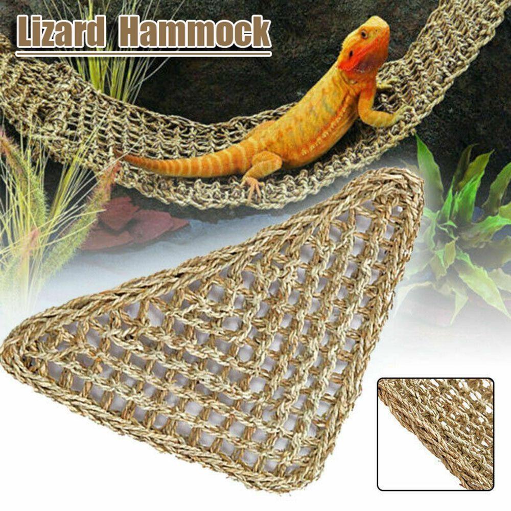 Võng Dệt Tự Nhiên Cho Thằn Lằn