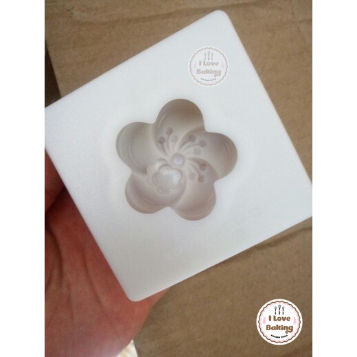 Khuôn Ép Bánh Nướng/Wagashi