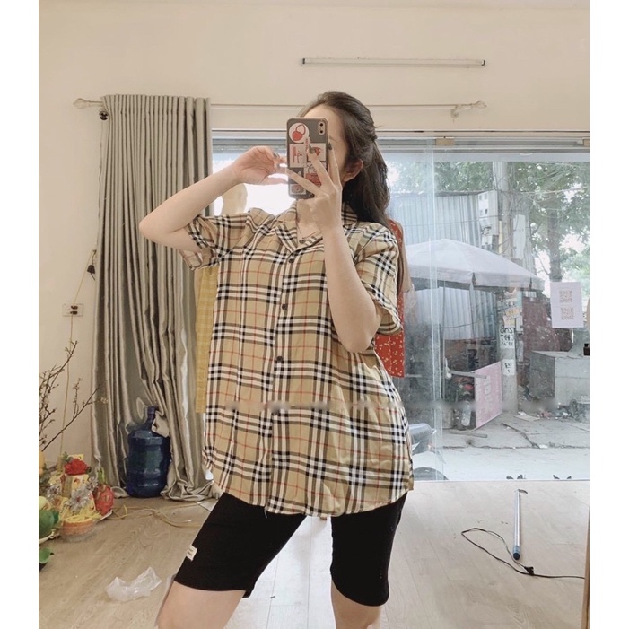 ÁO BẦU SƠ MI SỌC BBR