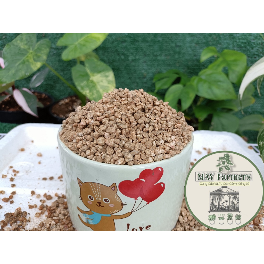 Đá Khoáng MASATO Rải Mặt Chậu Cho Xương Rồng - Sen Đá