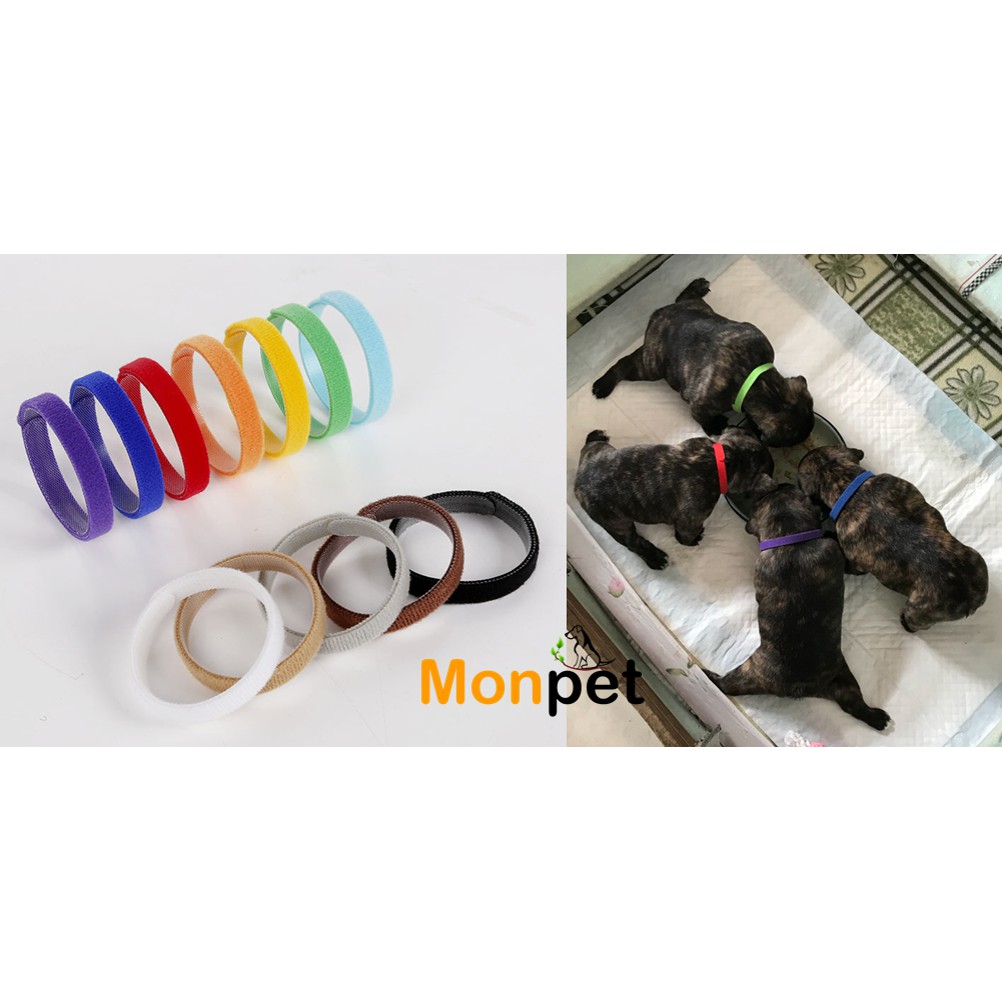 Vòng Bộ 12 vòng đeo cổ Puppy ID Collars phân biệt chó mèo con sơ sinh nhiều màu