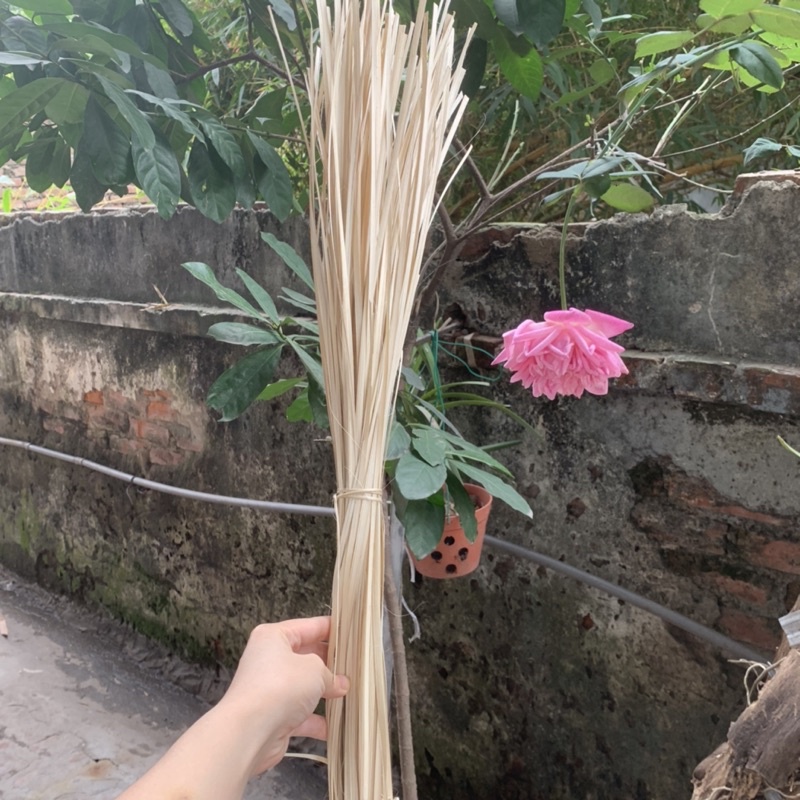 Lạt giang gói bánh chưng, bánh tét, bánh dậm