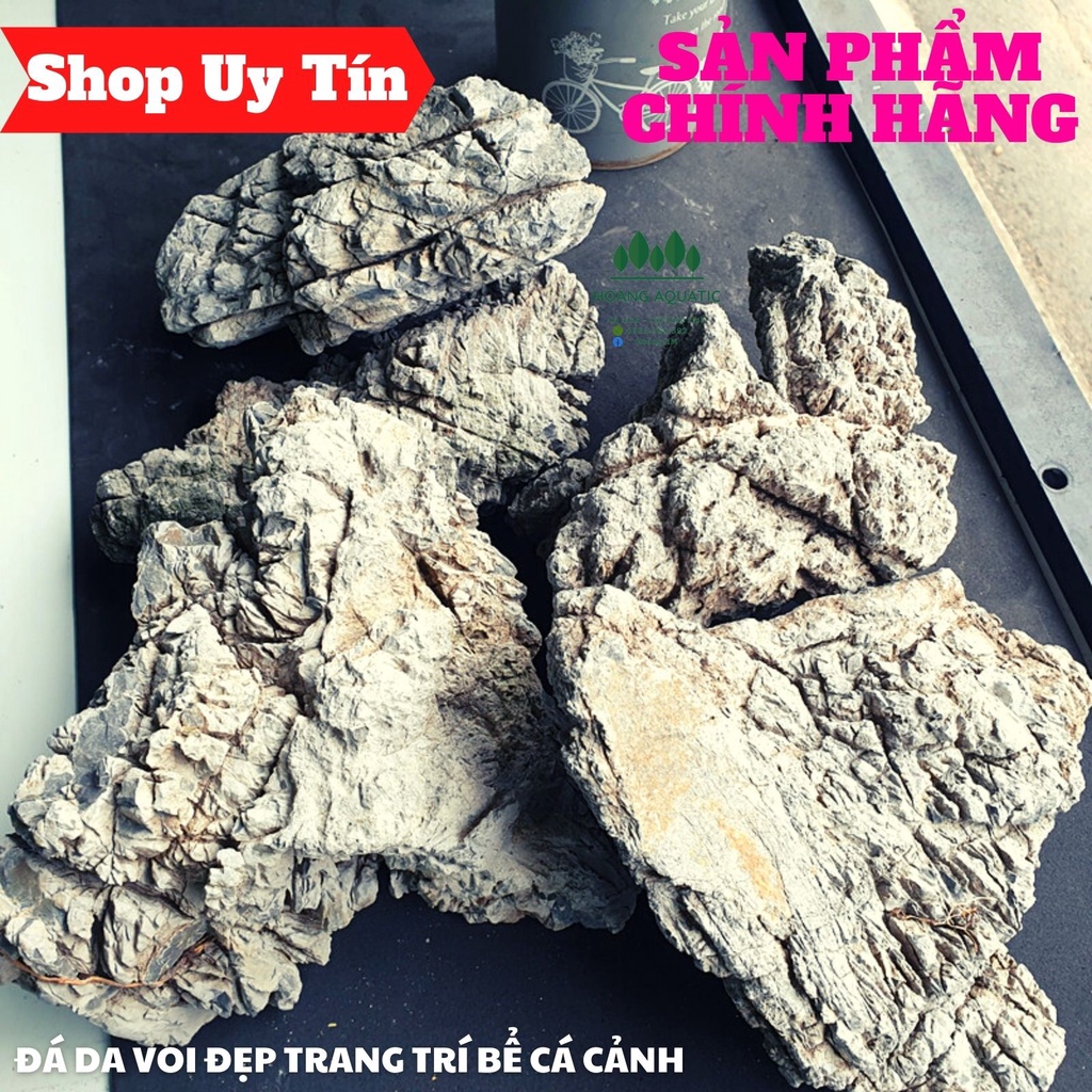 Đá Da Voi Đẹp | Trang trí Bể Cá Thủy Sinh, Phong Cách Biotope, Iwagumi