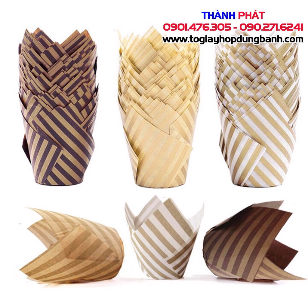 200 Cupcake lá đựng bánh bông lan - bánh kem - cup lace dùng để trang trí