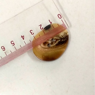 Nút nhựa xà cừ size 3.5cm( combo 5 nút)