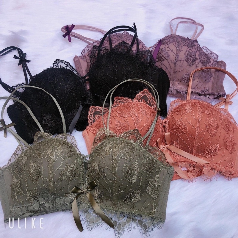 Áo Lót Witch Girl Đệm Dày Gợi Cảm AL37